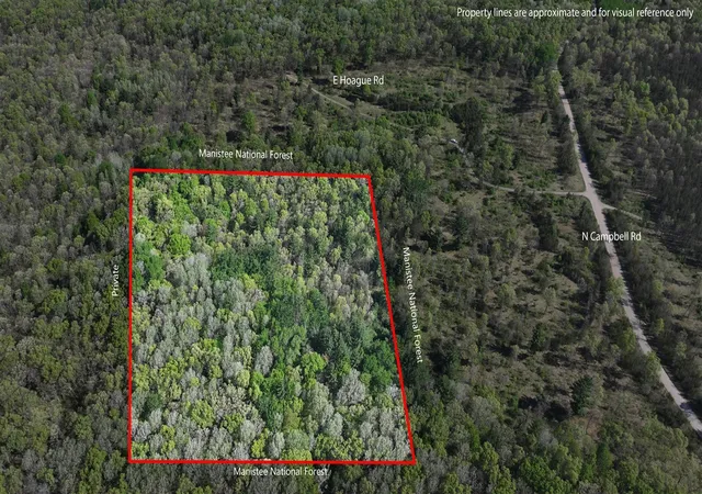 Homes for sale in Free Soil, MI | V/l E Hoague Rd, Free Soil, MI 49411 | MLS# 70525902
