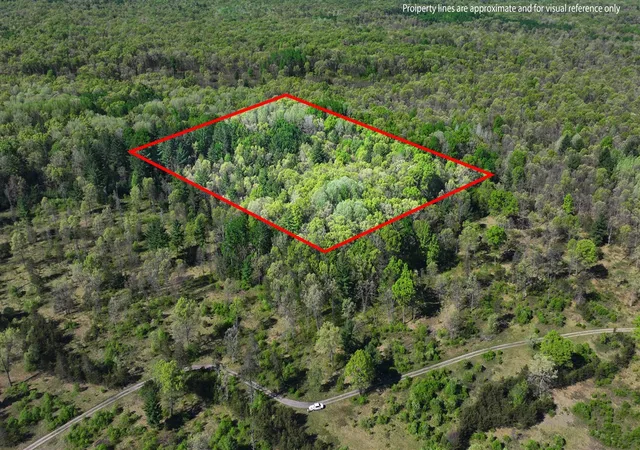 Homes for sale in Free Soil, MI | V/L E Hoague Rd, Free Soil, MI 49411 | MLS# 70525902