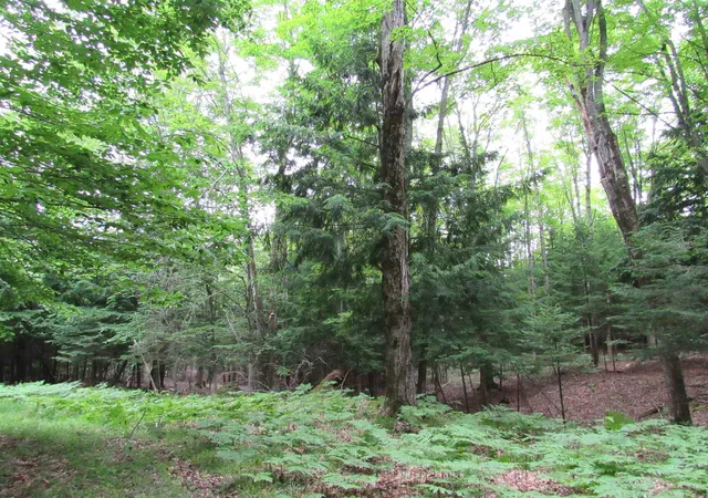 Homes for sale in Harrisville, MI | 0 N Poor Farm Rd, Harrisville, MI 48740 | MLS# 80070173