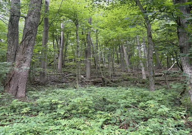 Land for sale at Lot E B Riverside Dr, Lowell, MI 49331 | MLS# 70548692