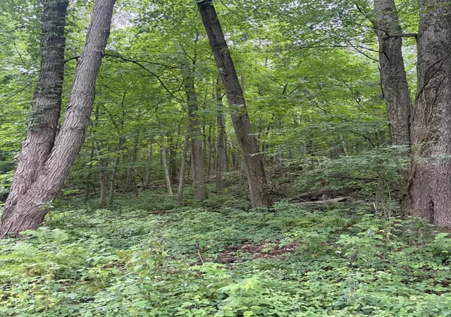 Photo 2 of Land for sale at Lot E B Riverside Dr, Lowell, MI 49331 | MLS# 70548692 | Listing updated on 2026-07-29