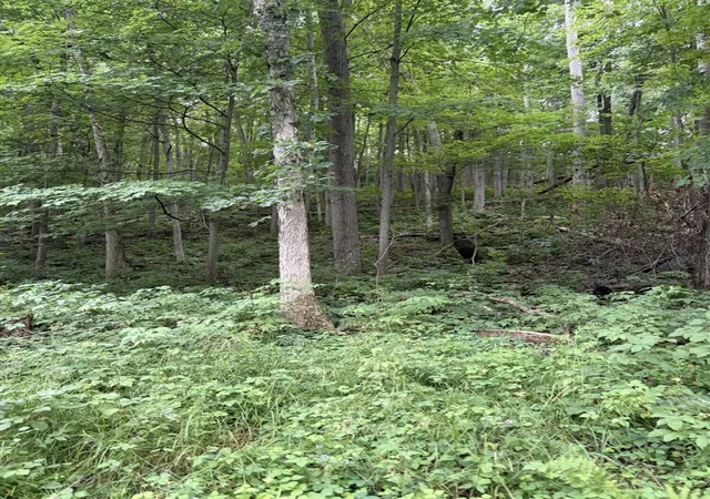 Photo 3 of Land for sale at Lot E B Riverside Dr, Lowell, MI 49331 | MLS# 70548692 | Listing updated on 2026-07-29
