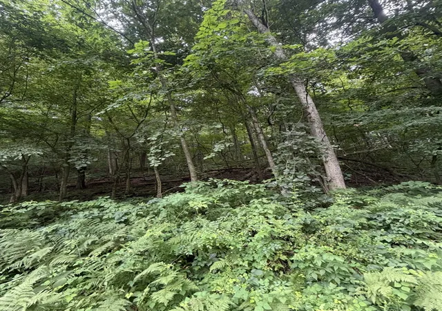 Photo 4 of Land for sale at Lot E B Riverside Dr, Lowell, MI 49331 | MLS# 70548692 | Listing updated on 2026-07-29