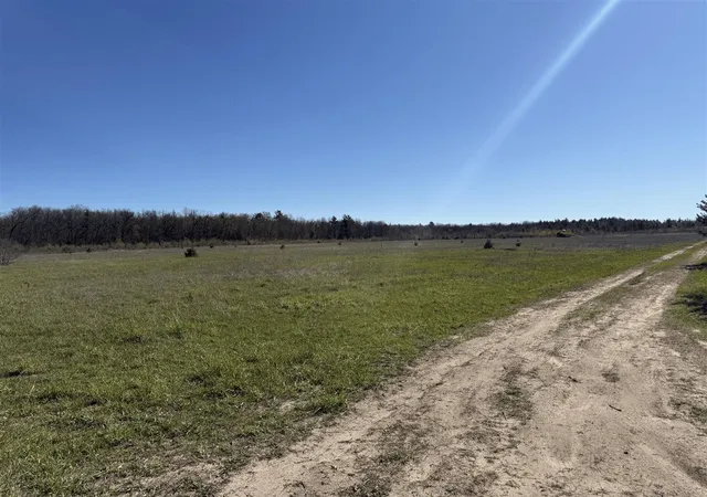2nd image of N V/l N Dagget Road, Howard City, MI 49329 | MLS# 70531916
