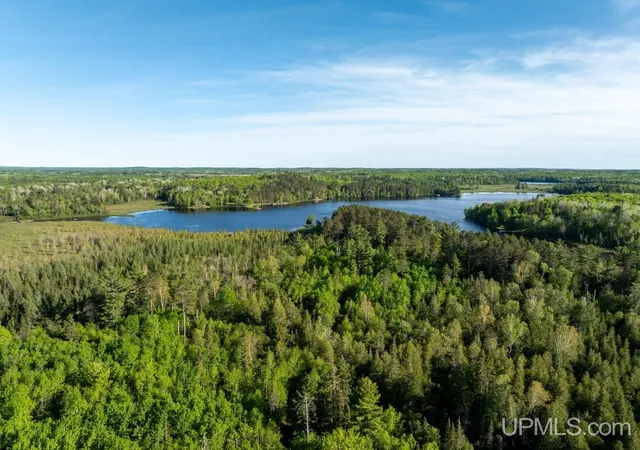 Homes for sale in Crystal Falls, MI | 730 Premo Creek Rd, Crystal Falls, MI 49920 | MLS# 50210399