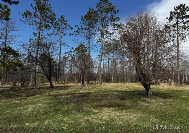 Photo 1 of Land for sale at 36431 Daniels Rd, Ontonagon, MI 49953 | MLS# 50206326 | Listing updated on 2026-08-04