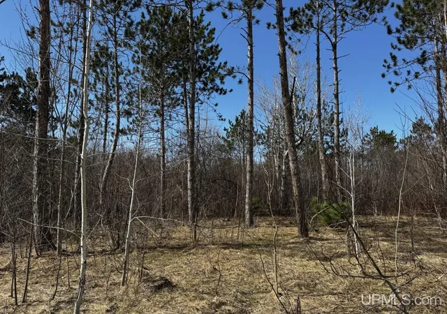 Homes for sale in Ontonagon, MI | 36431 Daniels Rd, Ontonagon, MI 49953 | MLS# 50206326