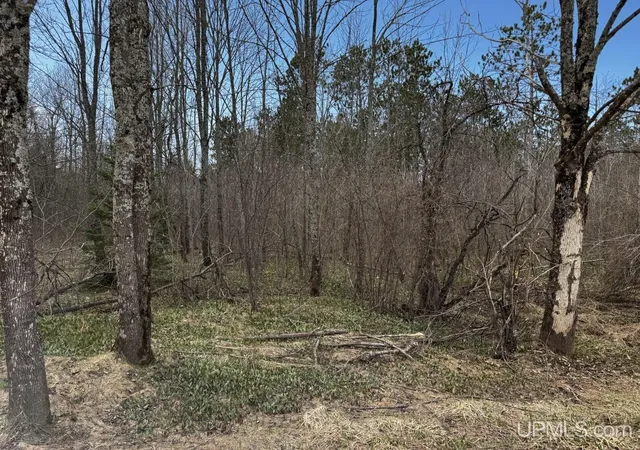 Photo 4 of Land for sale at 36431 Daniels Rd, Ontonagon, MI 49953 | MLS# 50206326 | Listing updated on 2026-08-04