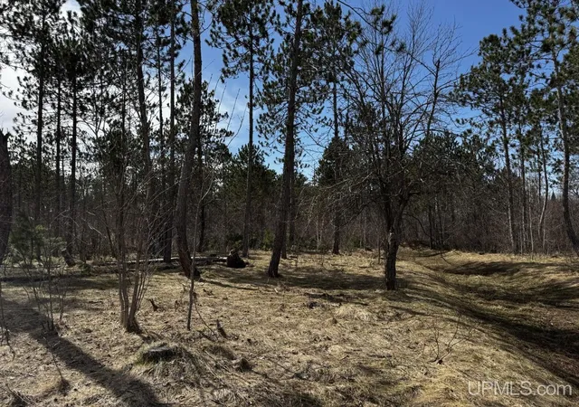 Homes for sale in Ontonagon, MI | 36431 Daniels Rd, Ontonagon, MI 49953 | MLS# 50206326