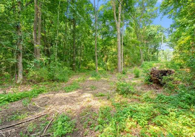 Photo 4 of Land for sale at 0 N 9th Street, Kalamazoo, MI 49009 | MLS# 70552734 | Listing updated on 2026-08-16