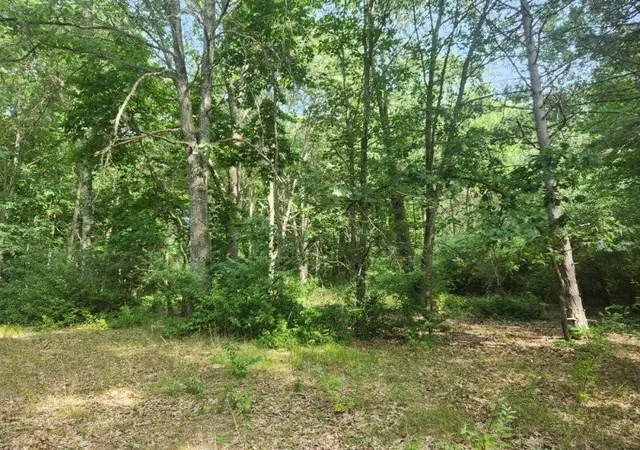 Photo 1 of Land for sale at V/l S Riverbend Rd, Branch, MI 49402 | MLS# 70485904 | Listing updated on 2025-08-06