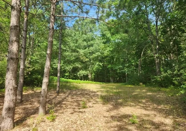 Photo 2 of Land for sale at V/l S Riverbend Rd, Branch, MI 49402 | MLS# 70485904 | Listing updated on 2025-08-06