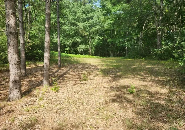 Photo 3 of Land for sale at V/l S Riverbend Rd, Branch, MI 49402 | MLS# 70485904 | Listing updated on 2025-08-06