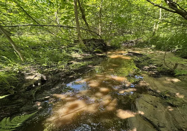 Photo 2 of Land for sale at S Loxley Rd, Houghton Lake, MI 48629 | MLS# 70543178 | Listing updated on 2026-09-10