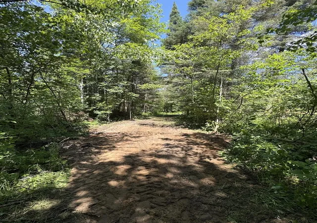 Photo 3 of Land for sale at S Loxley Rd, Houghton Lake, MI 48629 | MLS# 70543178 | Listing updated on 2026-09-10