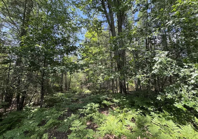 Photo 4 of Land for sale at S Loxley Rd, Houghton Lake, MI 48629 | MLS# 70543178 | Listing updated on 2026-09-10