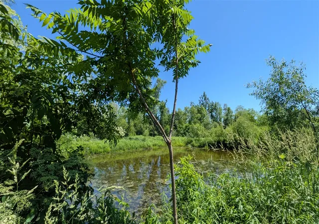 Photo 4 of Sale Pending at 113th Avenue, Fennville, MI 49408 | MLS# 70539512 | Listing updated on 2026-08-07