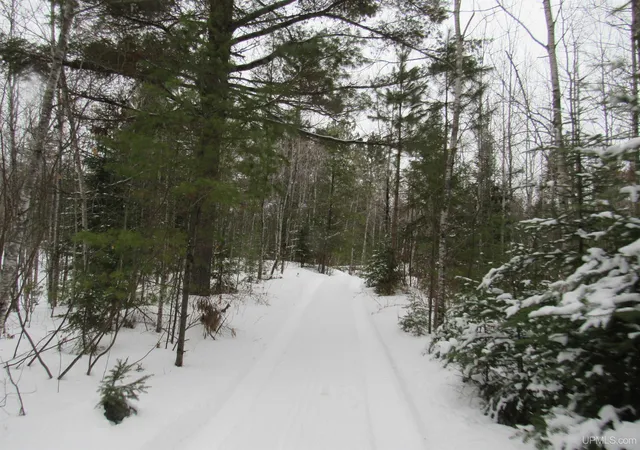 Photo 1 of Land for sale at Tbd Ffr 2127k Rd, Iron River, MI 49935 | MLS# 50166193 | Listing updated on 2025-06-03