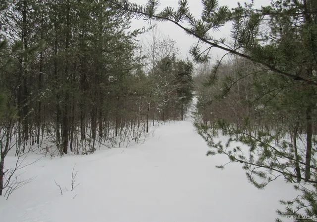 Photo 2 of Land for sale at Tbd Ffr 2127k Rd, Iron River, MI 49935 | MLS# 50166193 | Listing updated on 2025-06-03