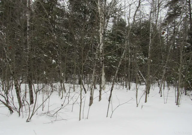 Photo 3 of Land for sale at Tbd Ffr 2127k Rd, Iron River, MI 49935 | MLS# 50166193 | Listing updated on 2025-06-03