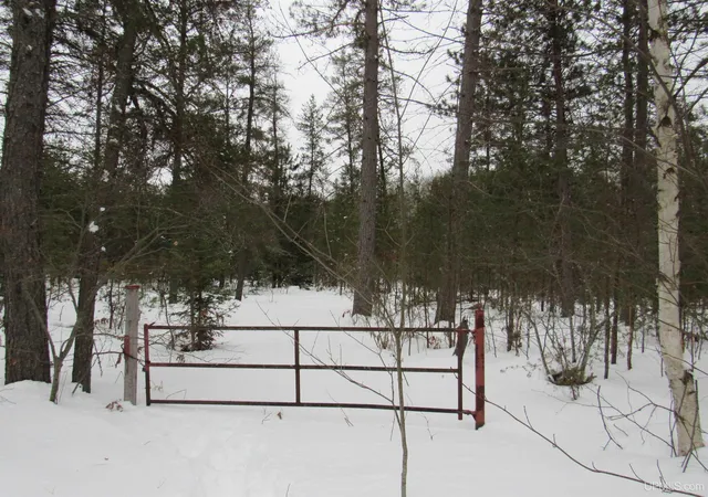 Photo 44 of Land for sale at Tbd Ffr 2127k Rd, Iron River, MI 49935 | MLS# 50166193 | Listing updated on 2025-06-03