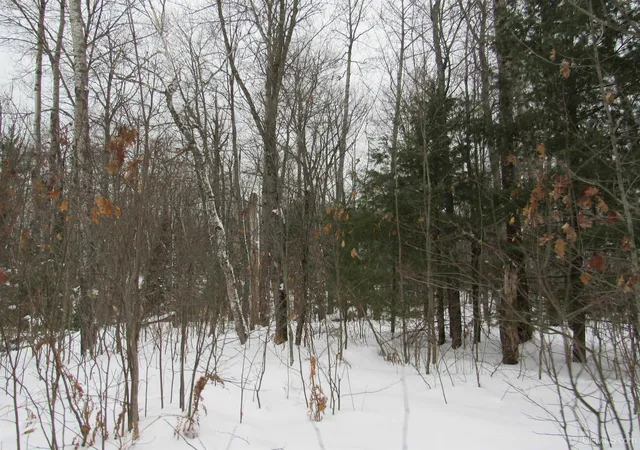 Photo 4 of Land for sale at Tbd Ffr 2127k Rd, Iron River, MI 49935 | MLS# 50166193 | Listing updated on 2025-06-03