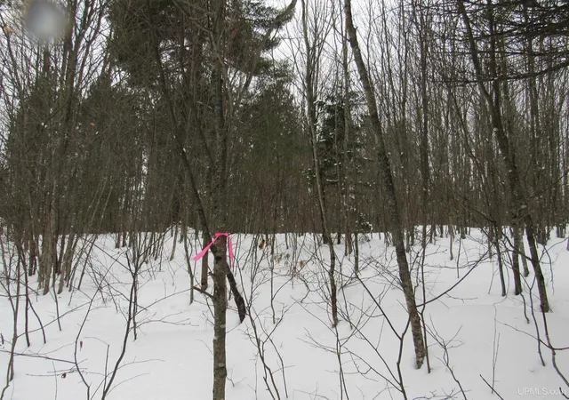 Photo 5 of Land for sale at Tbd Ffr 2127k Rd, Iron River, MI 49935 | MLS# 50166193 | Listing updated on 2025-06-03