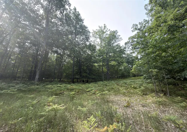 23rd image of Us 31, Manistee, MI 49660 | MLS# 70551559