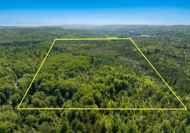 1st image of 00 Aero Park Dr, Bellaire, MI 49615 | MLS# 80069356