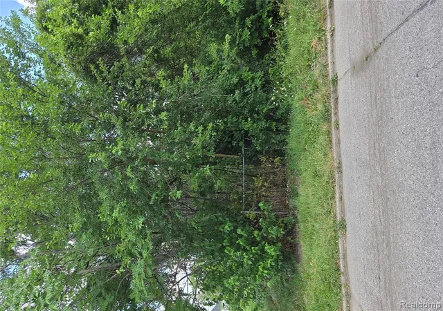 Photo 3 of Land for sale at 2528 Beals St, Detroit, MI 48214 | MLS# 61017480 | Listing updated on 2026-08-03