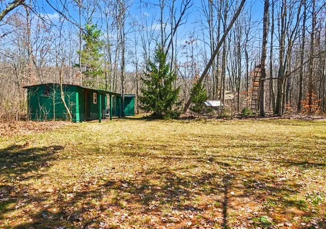 3rd image of Vl N Pine Ave, Big Rapids, MI 49307 | MLS# 70528070