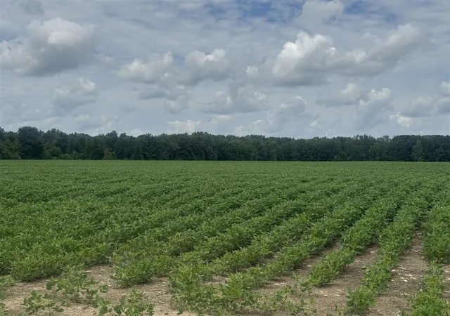 1st image of 102 W Central Rd, Coldwater, MI 49036 | MLS# 70522024