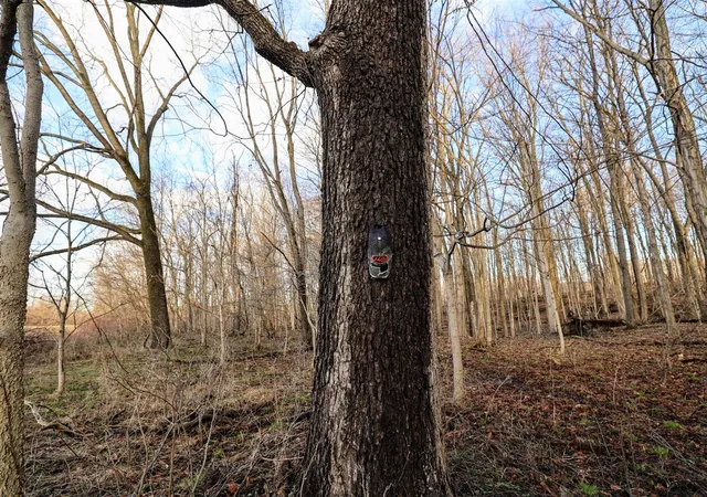Photo 3 of Land for sale at Vl W Glendora Rd, Buchanan, MI 49107 | MLS# 70522421 | Listing updated on 2026-07-27