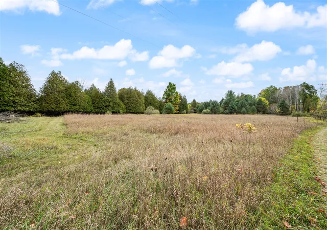 Homes for sale in Big Rapids, MI | 22 & 23 Davison Rd, Big Rapids, MI 49307 | MLS# 70499913