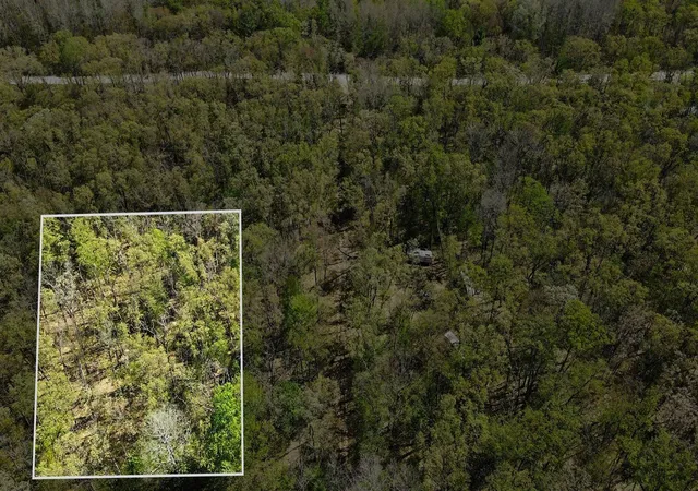 Homes for sale in Bitely, MI | 0 Grant St, Bitely, MI 49309 | MLS# 70534186