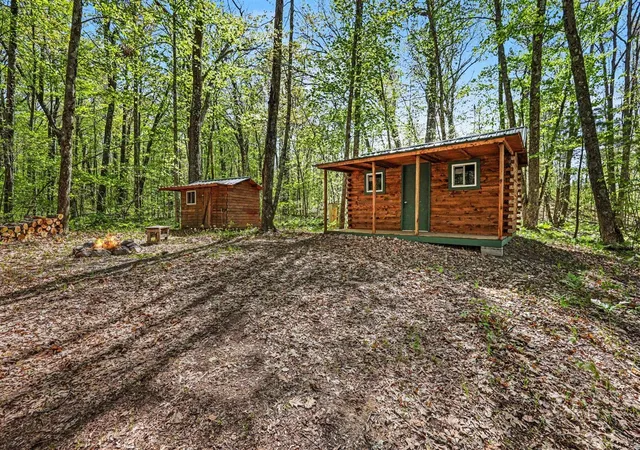 Homes for sale in Bitely, MI | 0 Grant St, Bitely, MI 49309 | MLS# 70534186