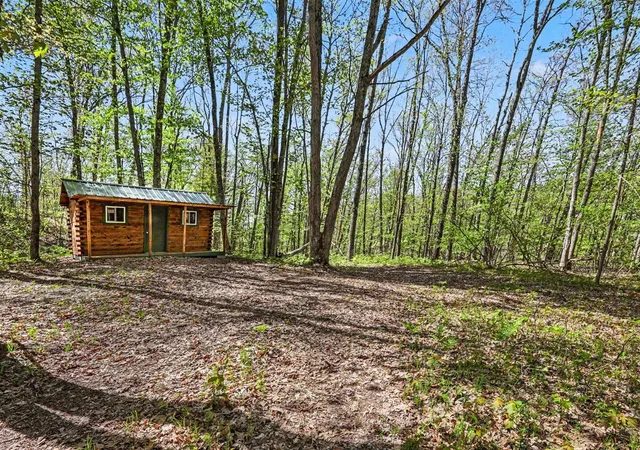 Homes for sale in Bitely, MI | 0 Grant St, Bitely, MI 49309 | MLS# 70534186