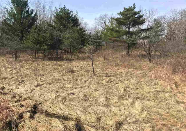 Photo 2 of Land for sale at 291 Track Iron Trl, Gladwin, MI 48624 | MLS# 50041942 | Listing updated on 2025-12-11