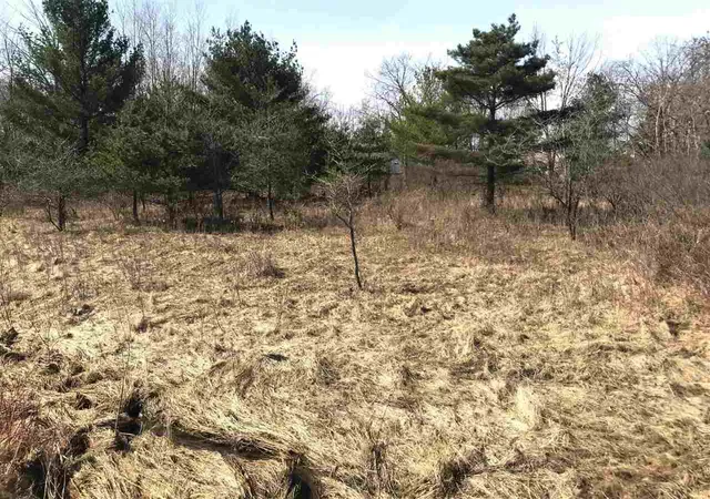 Photo 3 of Land for sale at 291 Track Iron Trl, Gladwin, MI 48624 | MLS# 50041942 | Listing updated on 2025-12-11