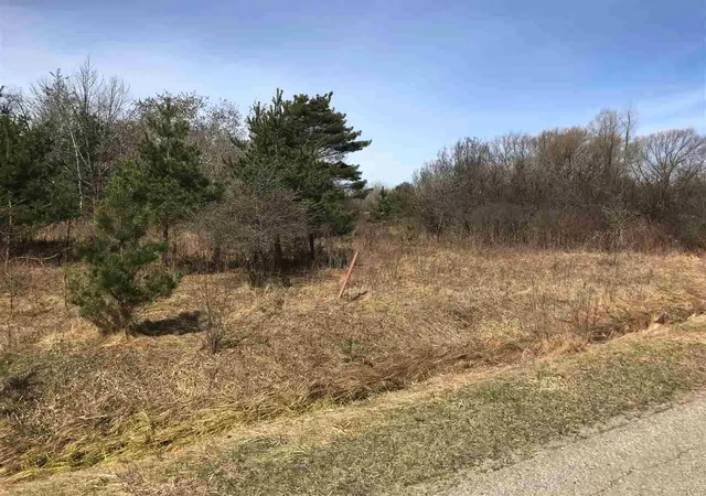 Photo 3 of Land for sale at 291 Track Iron Trl, Gladwin, MI 48624 | MLS# 50041942 | Listing updated on 2025-12-11