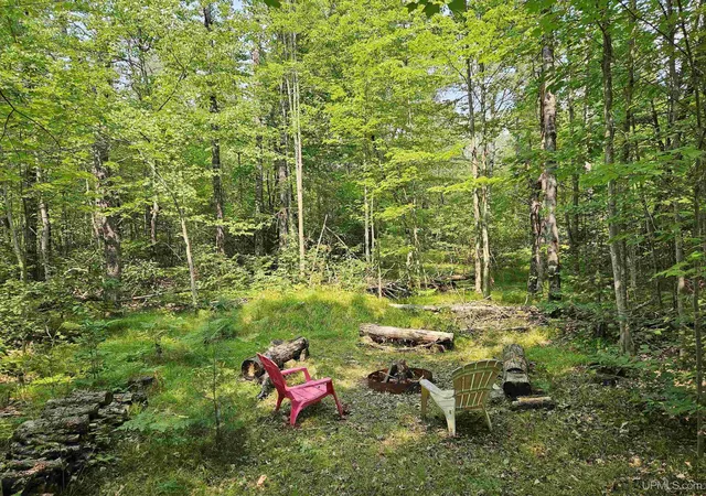 Photo 4 of Single family home for sale at W10780 Blueberry Point Rd, Dunbar, WI 54119 | MLS# 50196499 | Listing updated on 2026-09-01