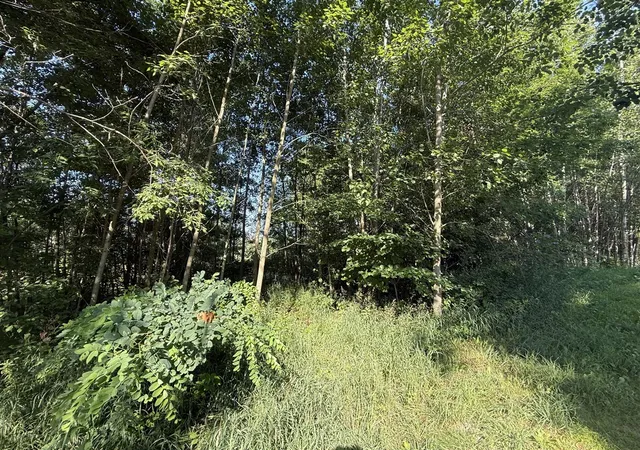 Photo 3 of Sale Pending at W Royal Rd, Stanwood, MI 49346 | MLS# 70547655 | Listing updated on 2026-08-11