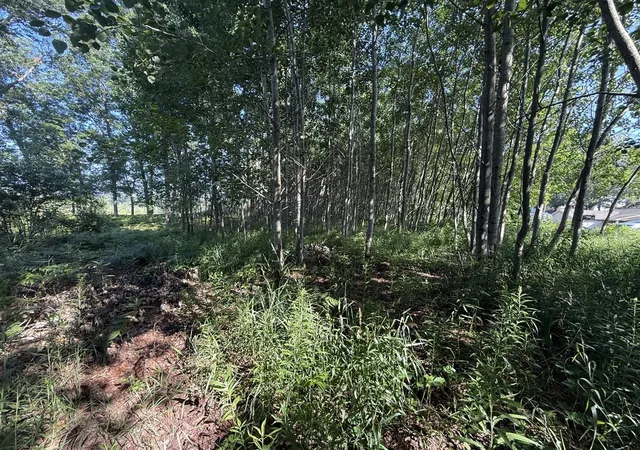 Photo 4 of Sale Pending at W Royal Rd, Stanwood, MI 49346 | MLS# 70547655 | Listing updated on 2026-08-11