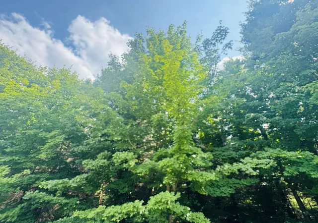1st image of 22 Mile Rd, Tustin, MI 49688 | MLS# 80071471