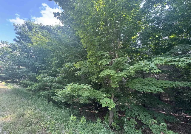 3rd image of 22 Mile Rd, Tustin, MI 49688 | MLS# 80071471