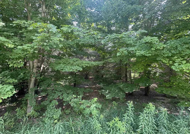 4th image of 22 Mile Rd, Tustin, MI 49688 | MLS# 80071471
