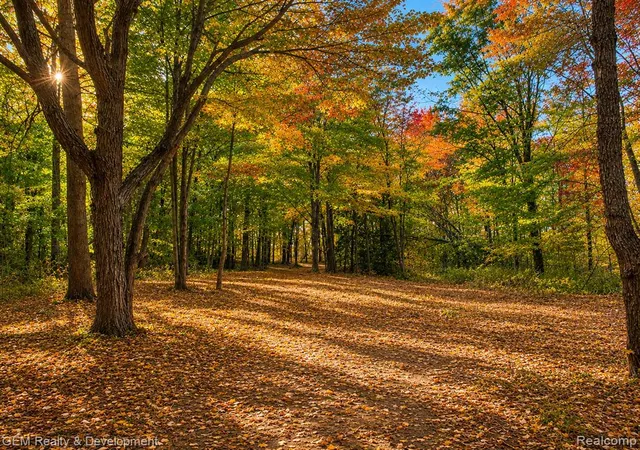 Photo 2 of Sale Pending at 6004 Seven Mile Rd, Northville, MI 48167 | MLS# 61017214 | Listing updated on 2026-09-27