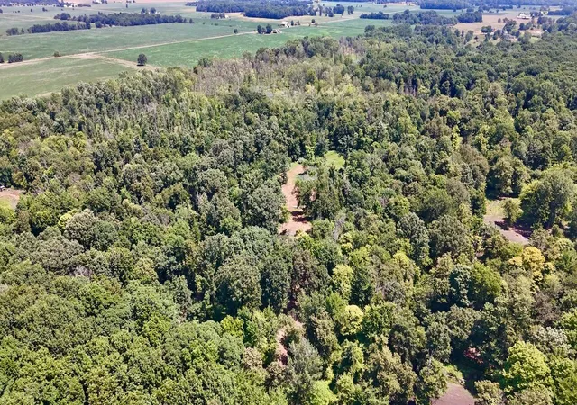 Photo 1 of Land for sale at V/l N Scott Rd, Saint Johns, MI 48879 | MLS# 70547844 | Listing updated on 2026-07-24