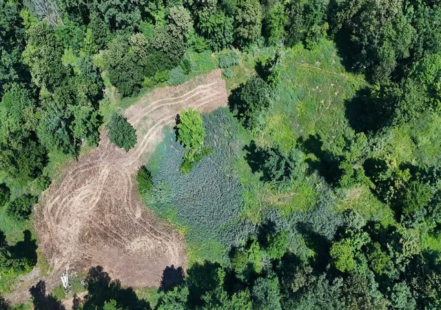 Photo 2 of Land for sale at V/l N Scott Rd, Saint Johns, MI 48879 | MLS# 70547844 | Listing updated on 2026-07-24