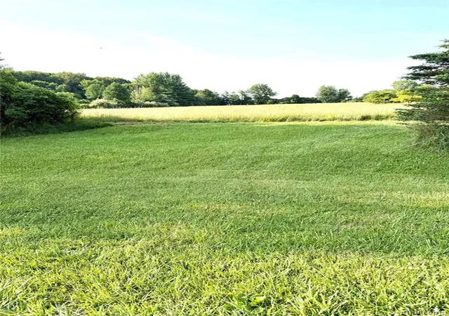 1st image of 0070102220 Meadow Ln, Dryden, MI 48428 | MLS# 61009159